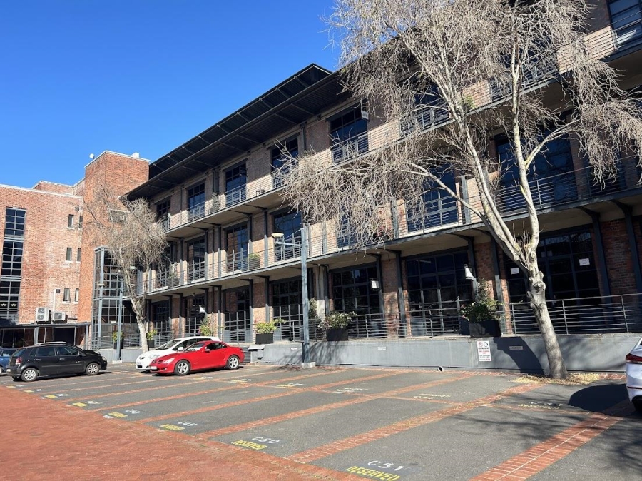 To Let commercial Property for Rent in Observatory Western Cape